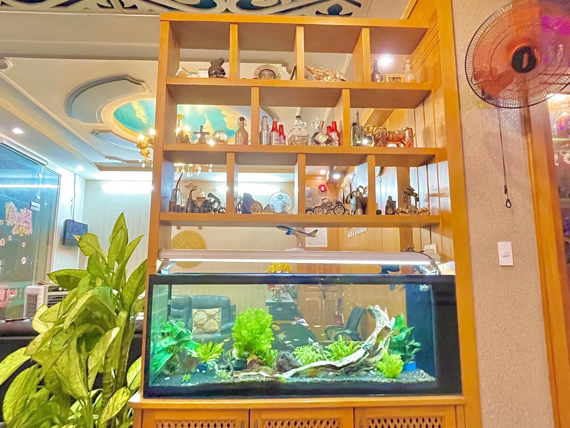 Helen Hotel & Apartment หวุงเต่า ภายนอก รูปภาพ
